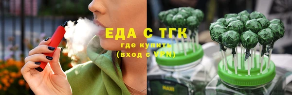 мдпв Краснослободск