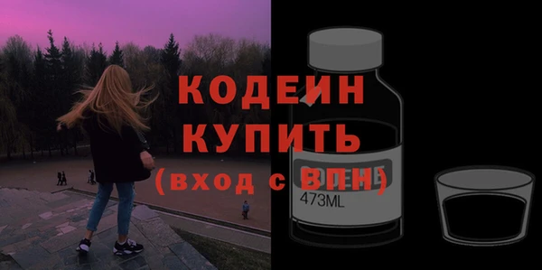 мдпв Краснослободск