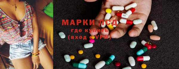 мдпв Краснослободск