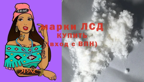 мдпв Краснослободск