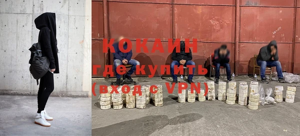 мдпв Краснослободск