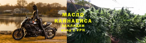 мдпв Краснослободск