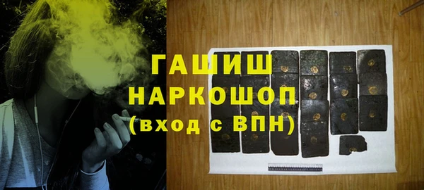 мдпв Краснослободск