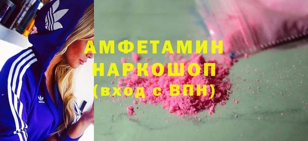 мдпв Краснослободск