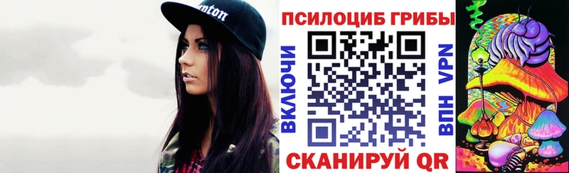 Купить где  Циолковский  Псилоцибиновые грибы Magic Shrooms 